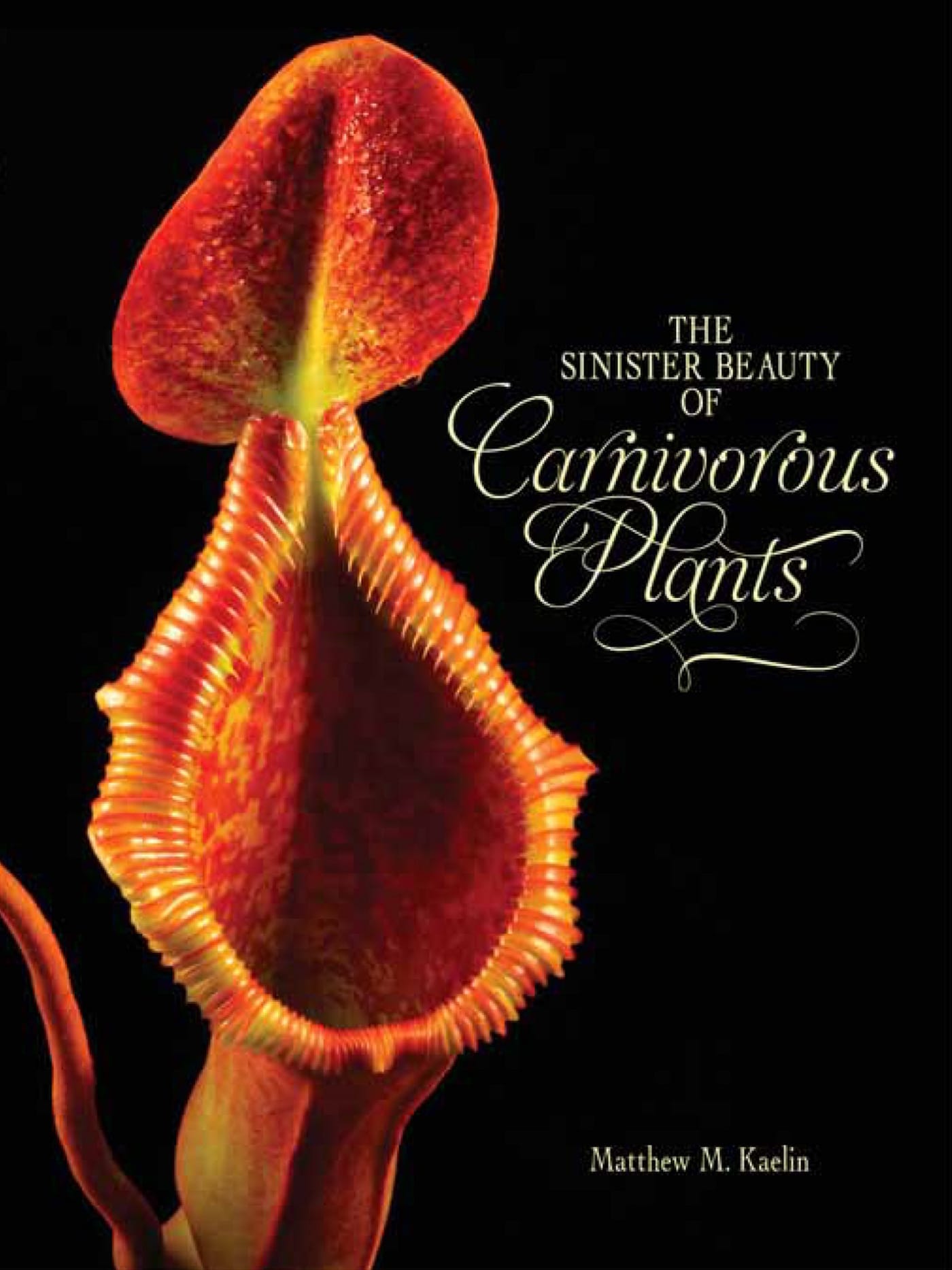 The Sinister Beauty of Carnivorous Plants