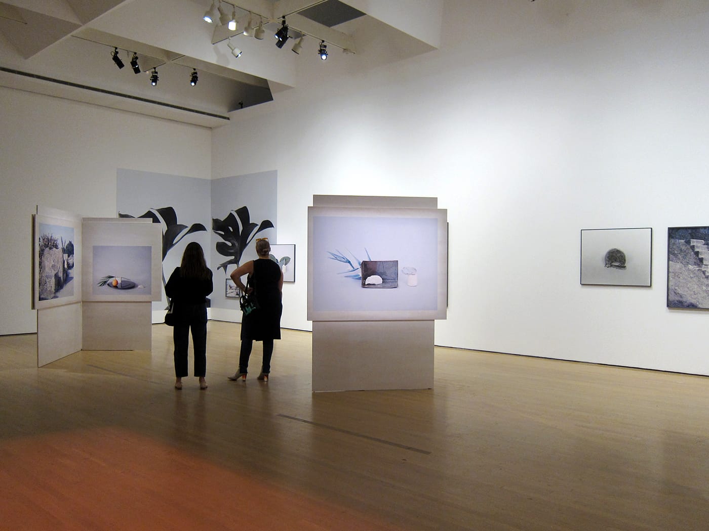 Celia Perrin Sidarous, "Notte Coralli," (2016) 