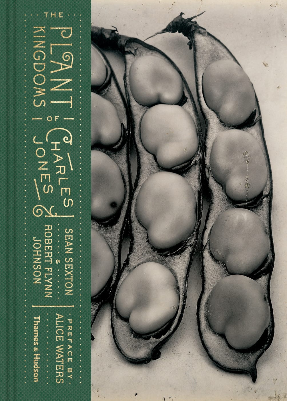 Cover of 'The Plant Kingdoms of Charles Jones' (courtesy Thames & Hudson)