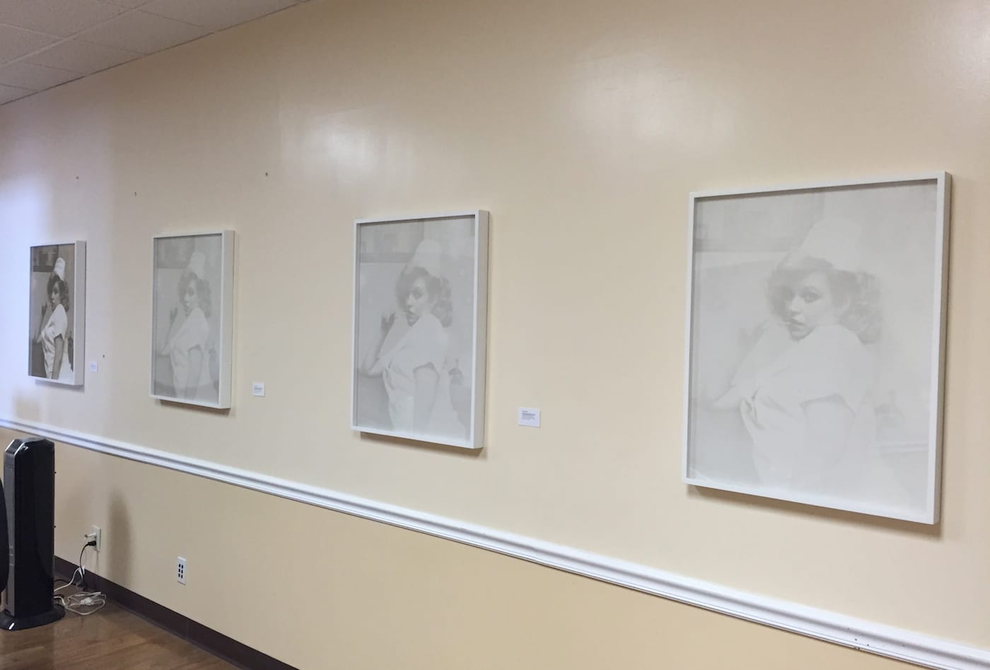 Zoe Crosher, "The Vanishing of Michelle duBois" Series