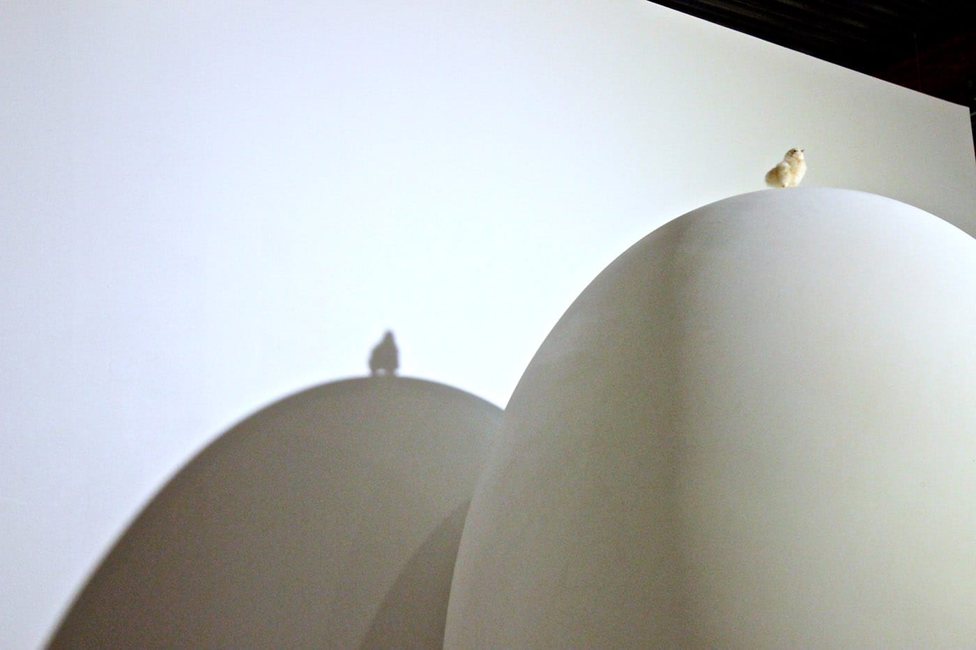 Energy/Mass, detail view.