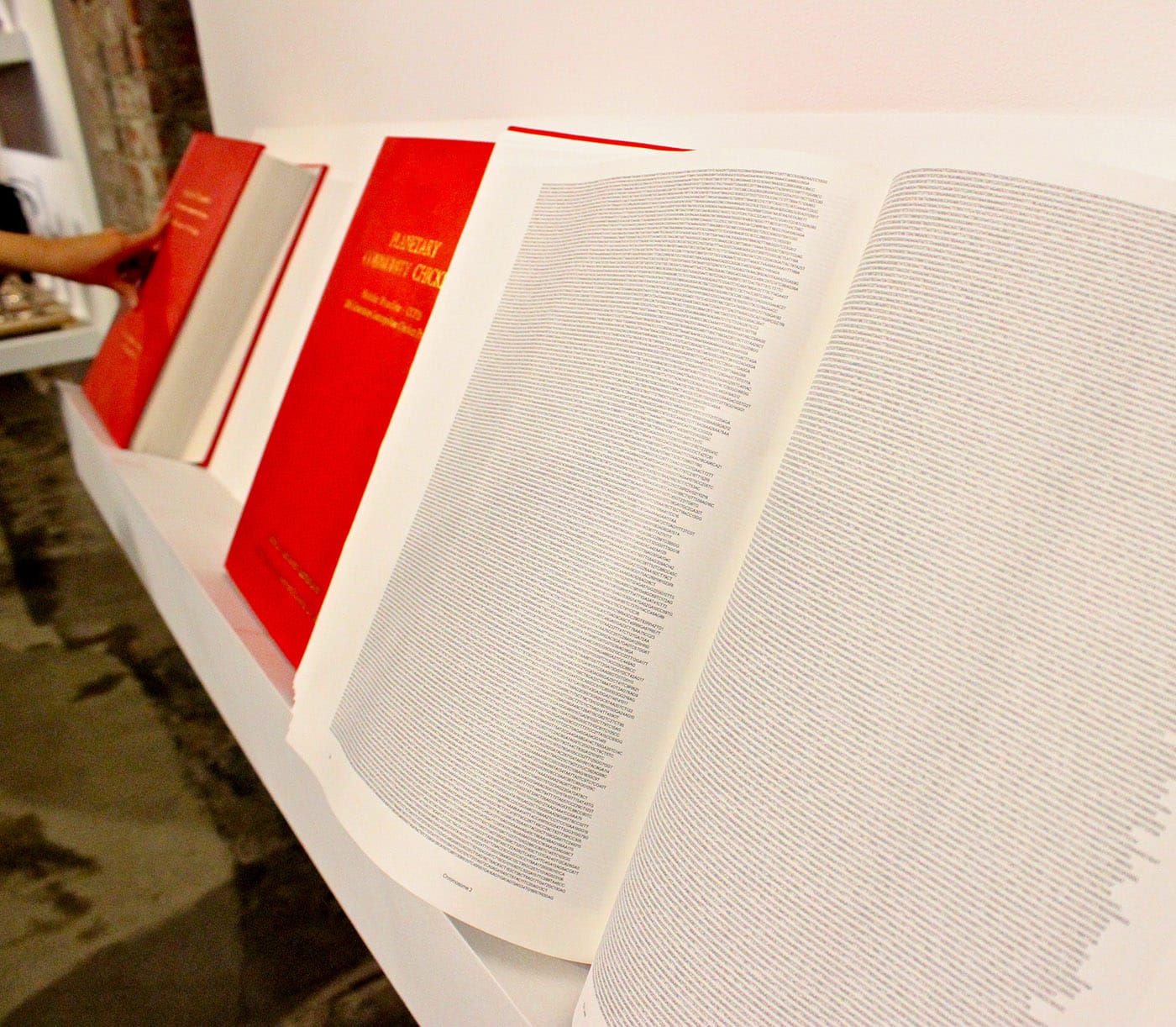 The genetic code of the current generation of Cosmopolitan Chickens.