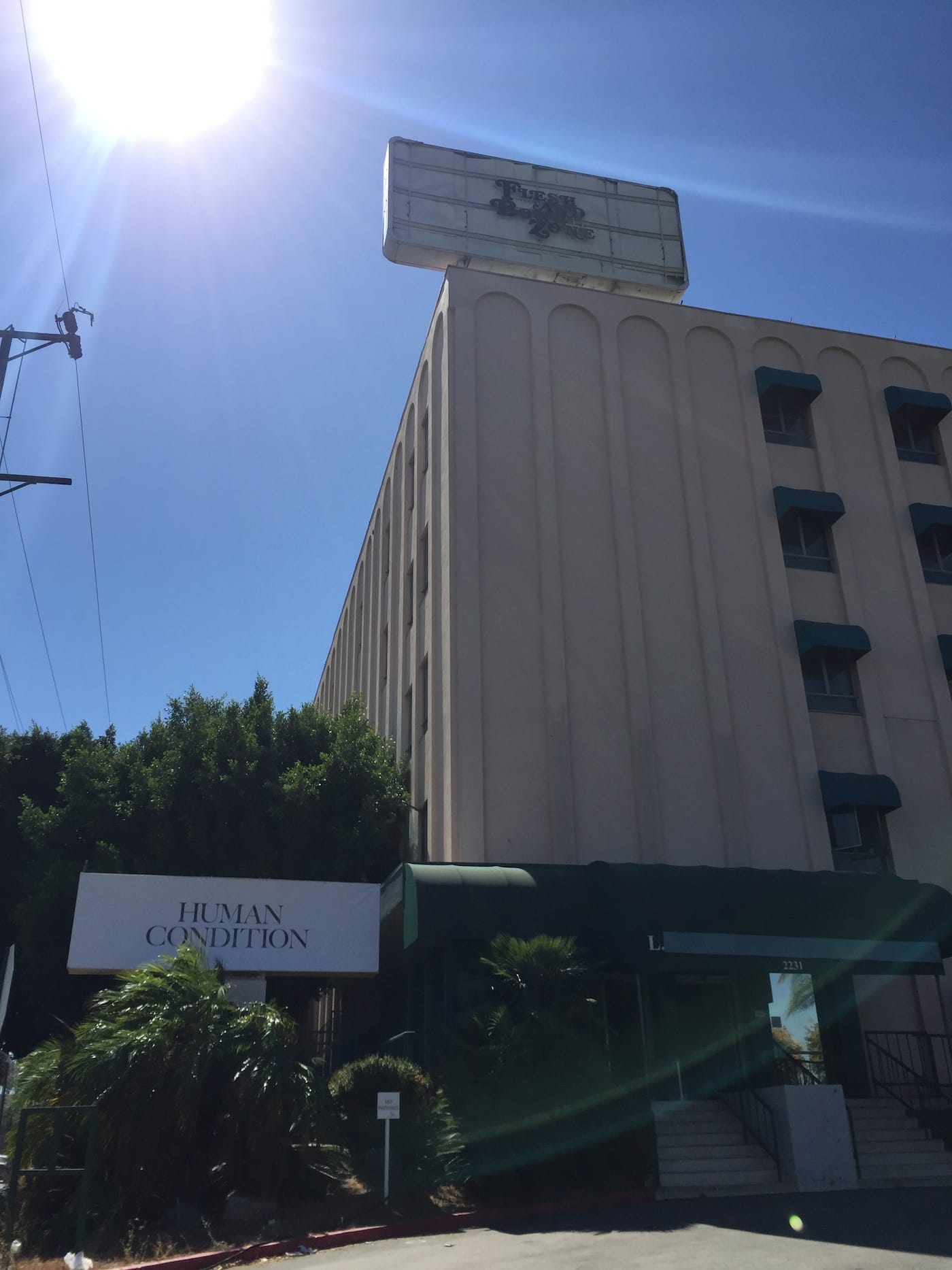 Kelly Lamb, "Flesh and Bone Zone" (2016)