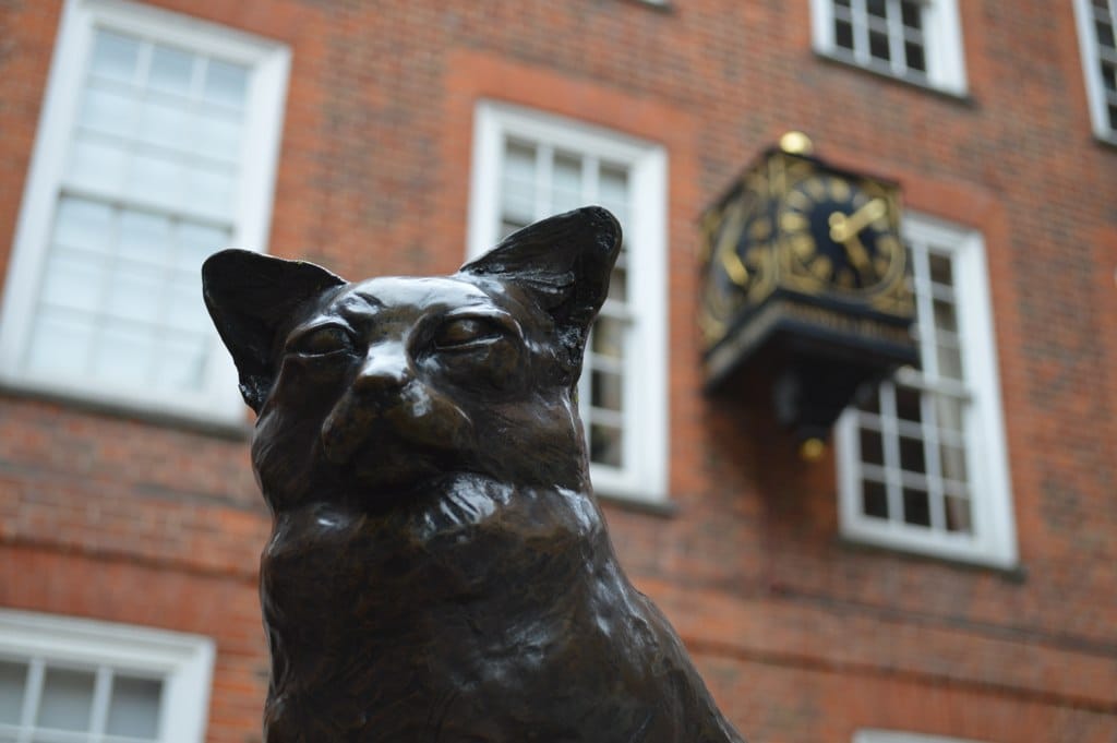 Statue of 18th-century cat Hodge in London (photo by Matt Brown/Flickr)