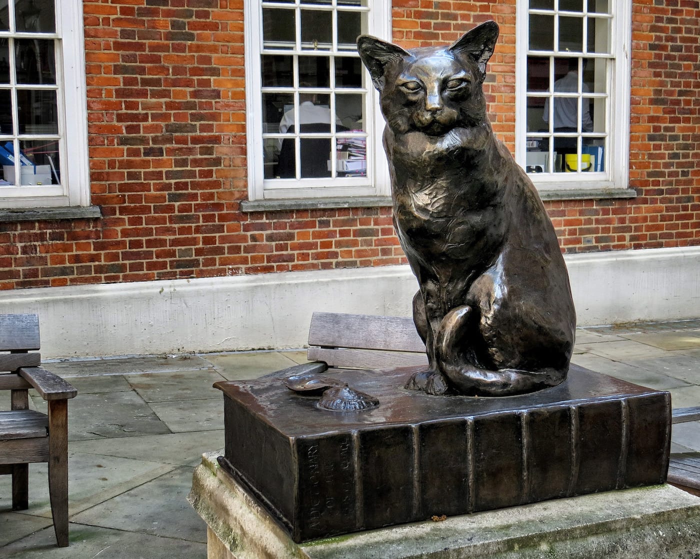 Hodge, Samuel Johnson's cat, in London (photo by David Skinner/Flickr)