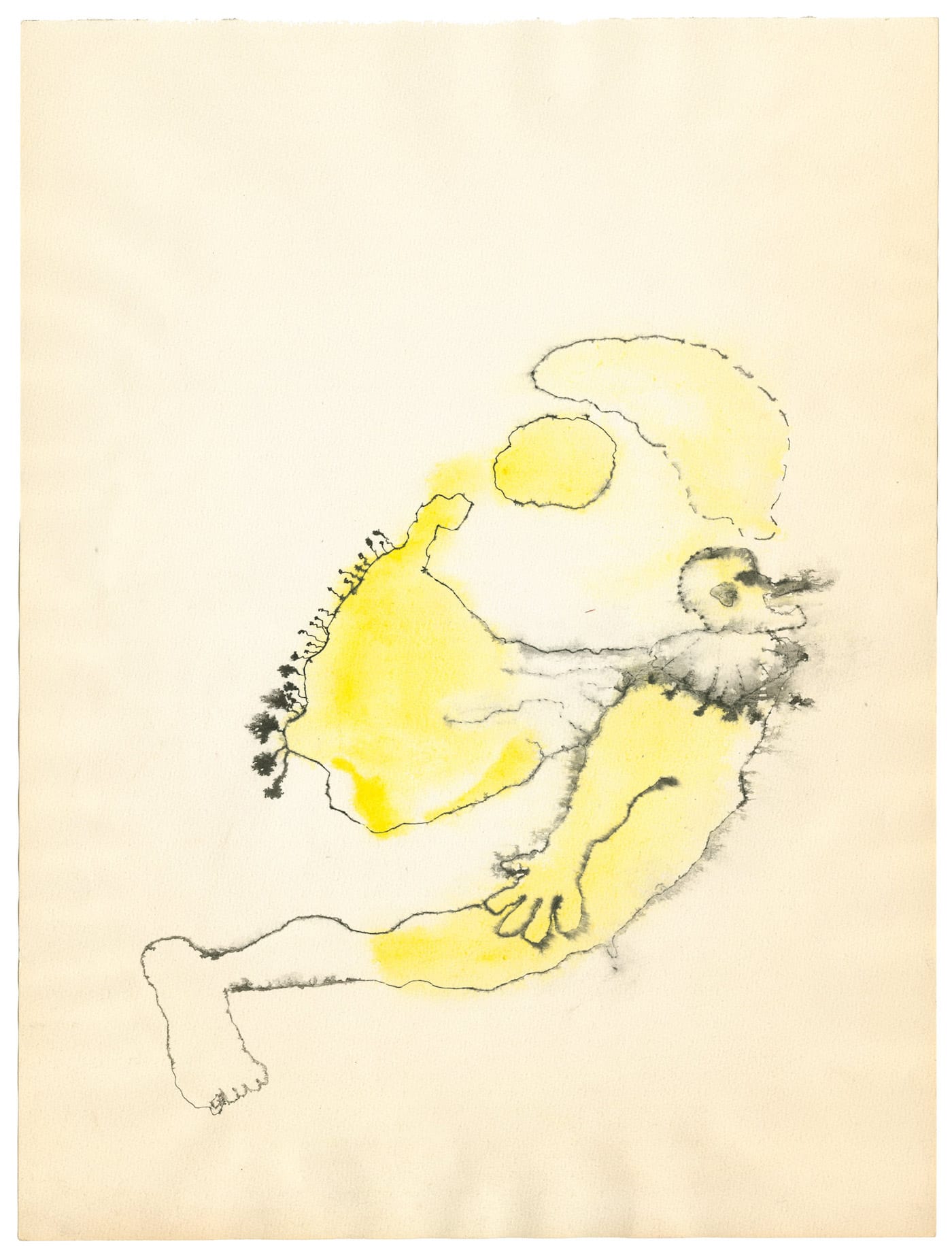 icamiami_ida_applebroog_mercy_hospital_02