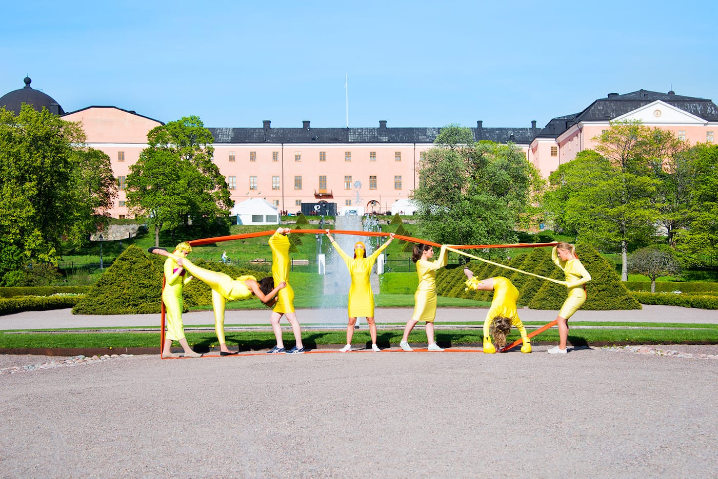 mauve-bird-with-yellow-teeth-red-feathers-green-feet-and-a-rose-belly-part_-yellow-tamar-ettun-and-the-moving-company-2016
