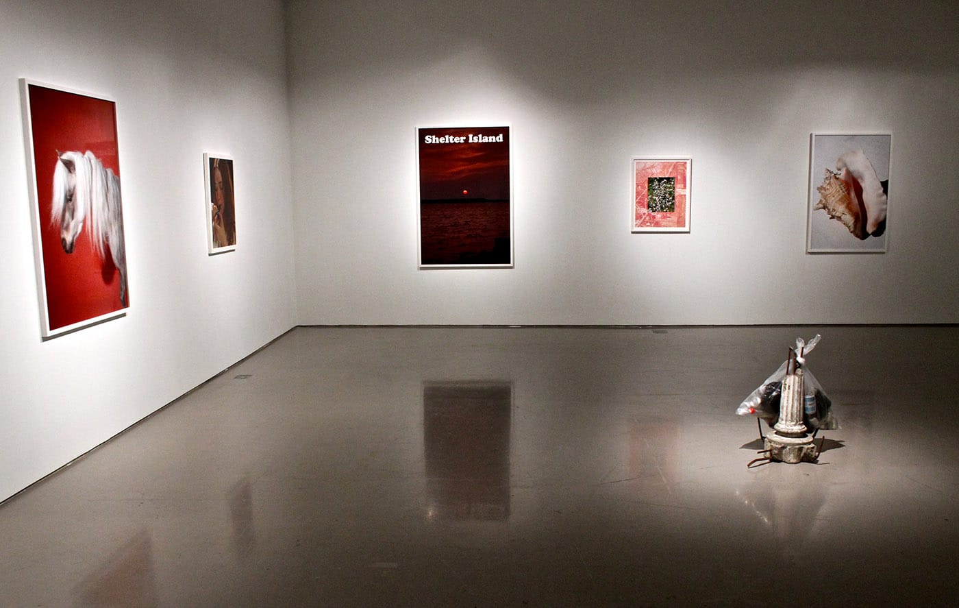 "Nearest Neighbor" at Contemporary Art Center, Cincinnati. Installation view.