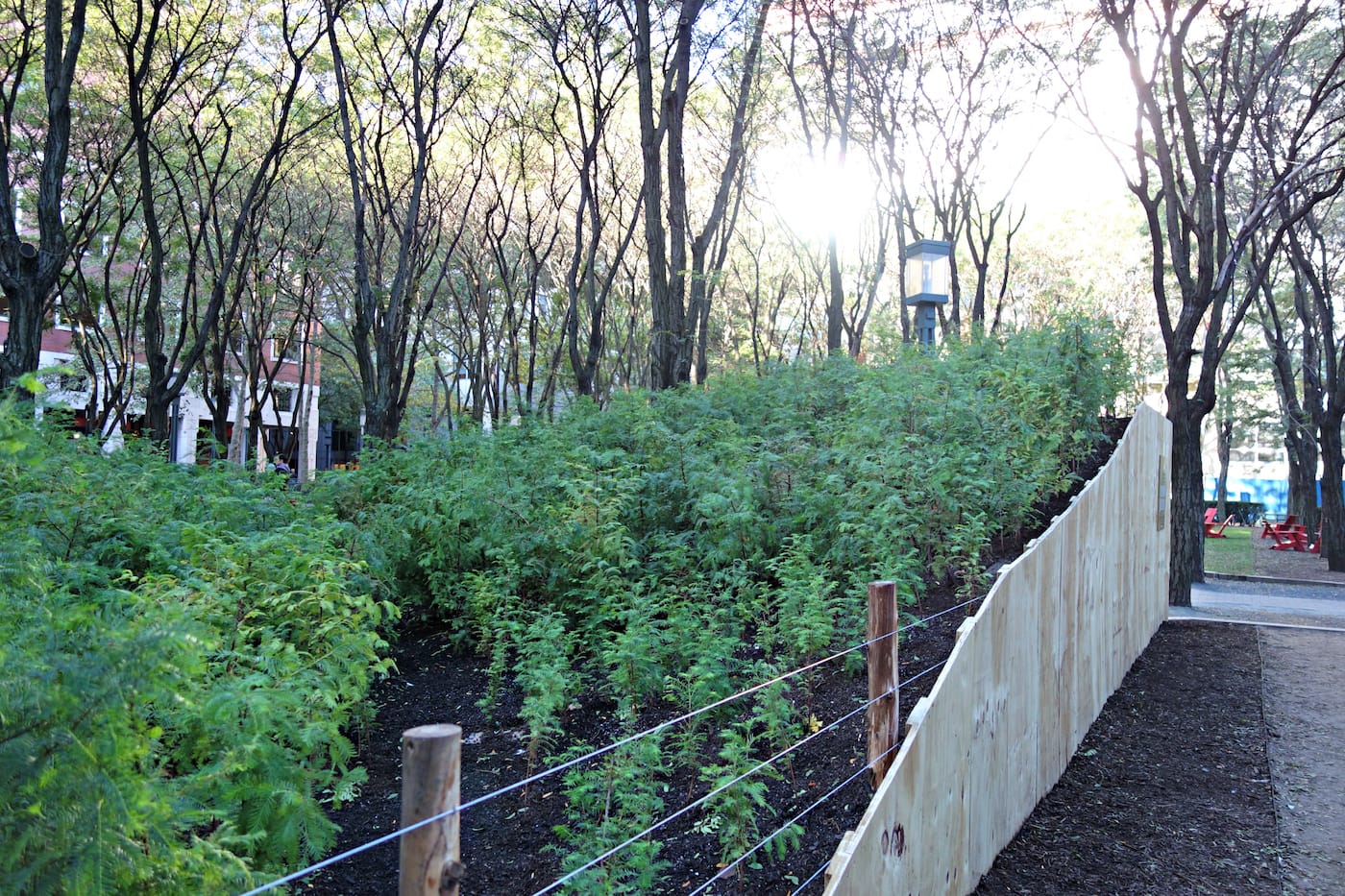 Installation view of 'Spencer Finch: Lost Man Creek' in the Metrotech Commons, Downtown Brooklyn