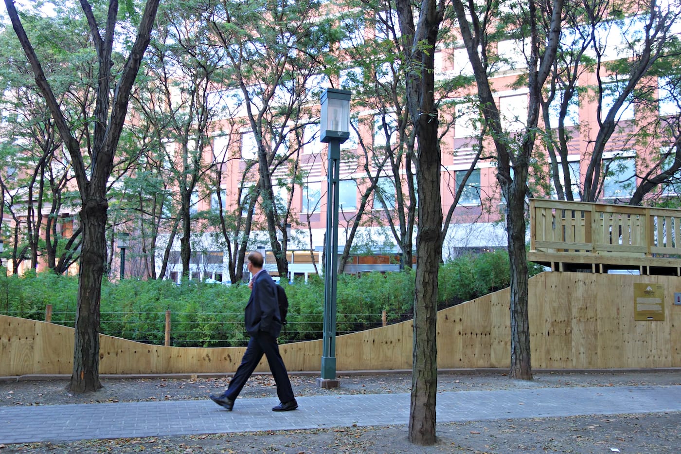 Installation view of 'Spencer Finch: Lost Man Creek' in the Metrotech Commons, Downtown Brooklyn