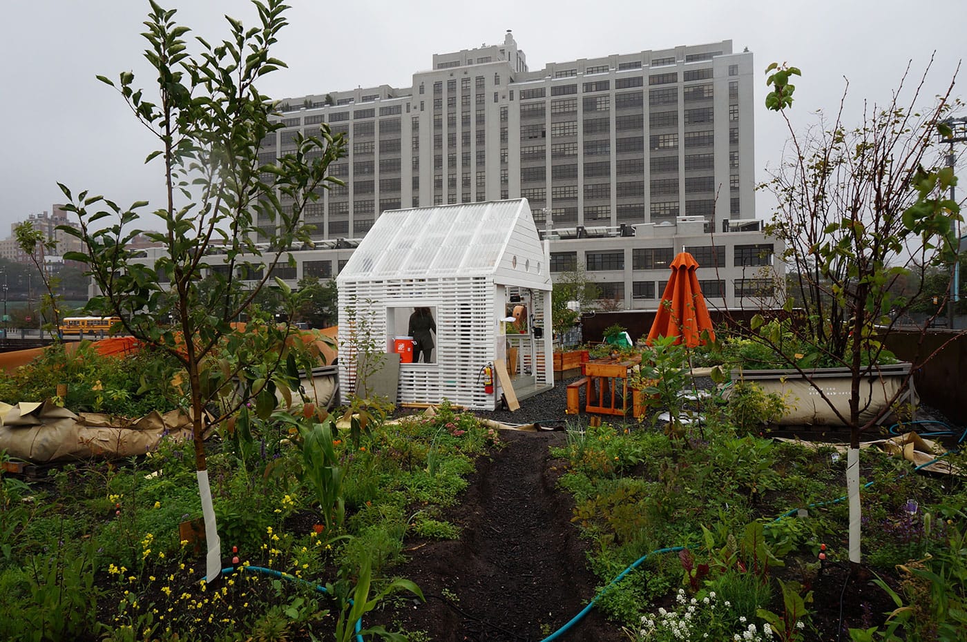 A view of "Swale" with the architectural structure built by Biome Arts
