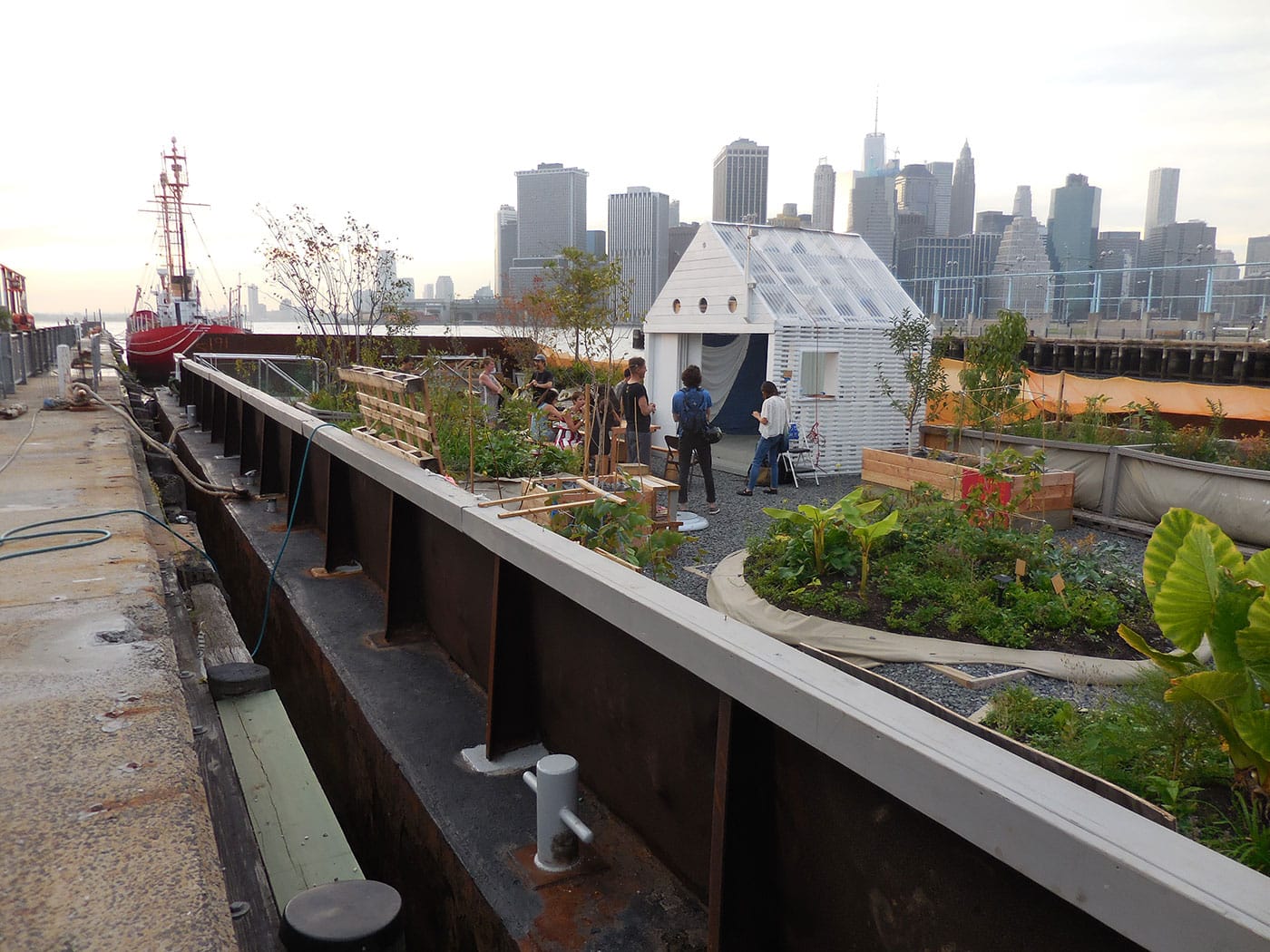 "Swale" on a sunny day