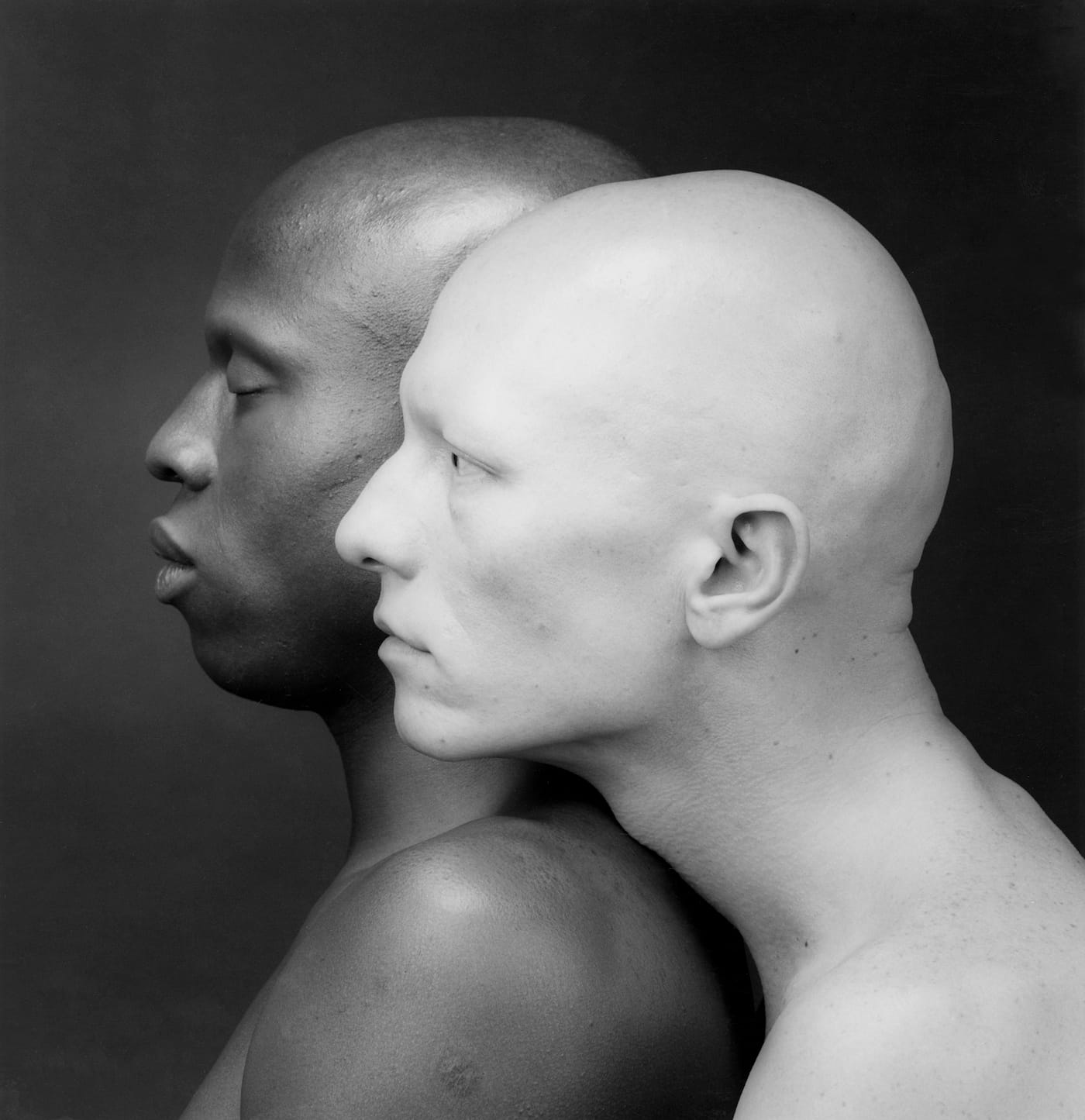 Robert Mapplethorpe, "Ken Moody and Robert Sherman" (1984)