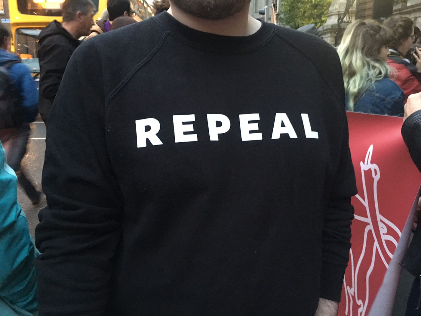 Repeal Project’s “REPEAL” jumper worn by an activist at a rally (photo by the author for Hyperallergic)