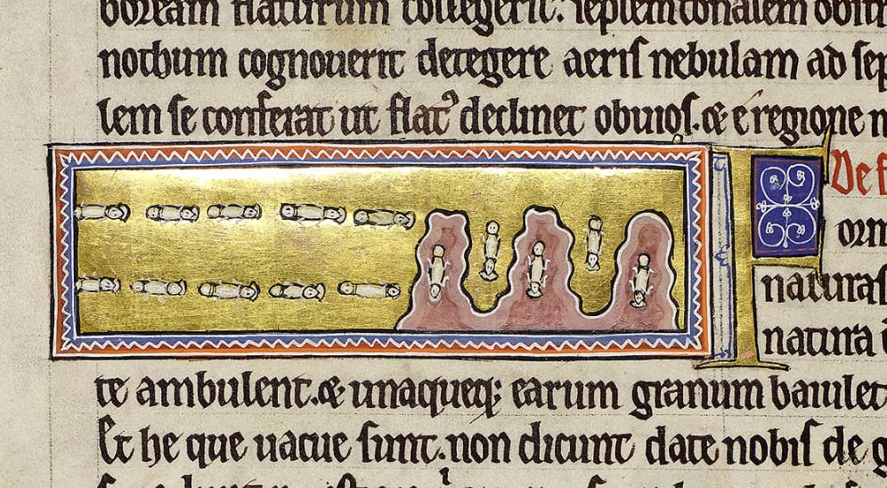 Detail of folio 24v showing a formation of ants with grain in their mouth