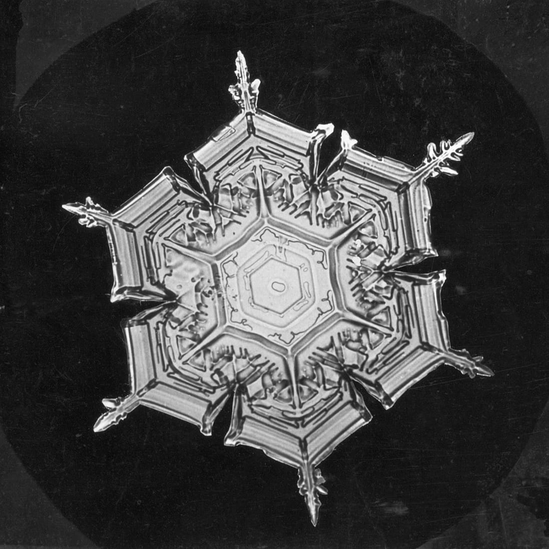 Snowflake study by Wilson Bentley (1890-1903) (via Smithsonian Institution Archives)