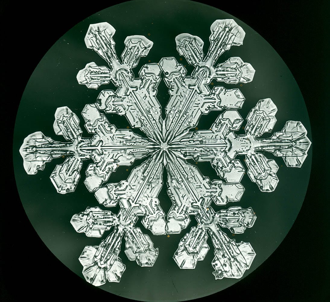 Snowflake photographed by Wilson Bentley (via Schwerdtfeger Library, Space Science and Engineering Center, University of Wisconsin-Madison)
