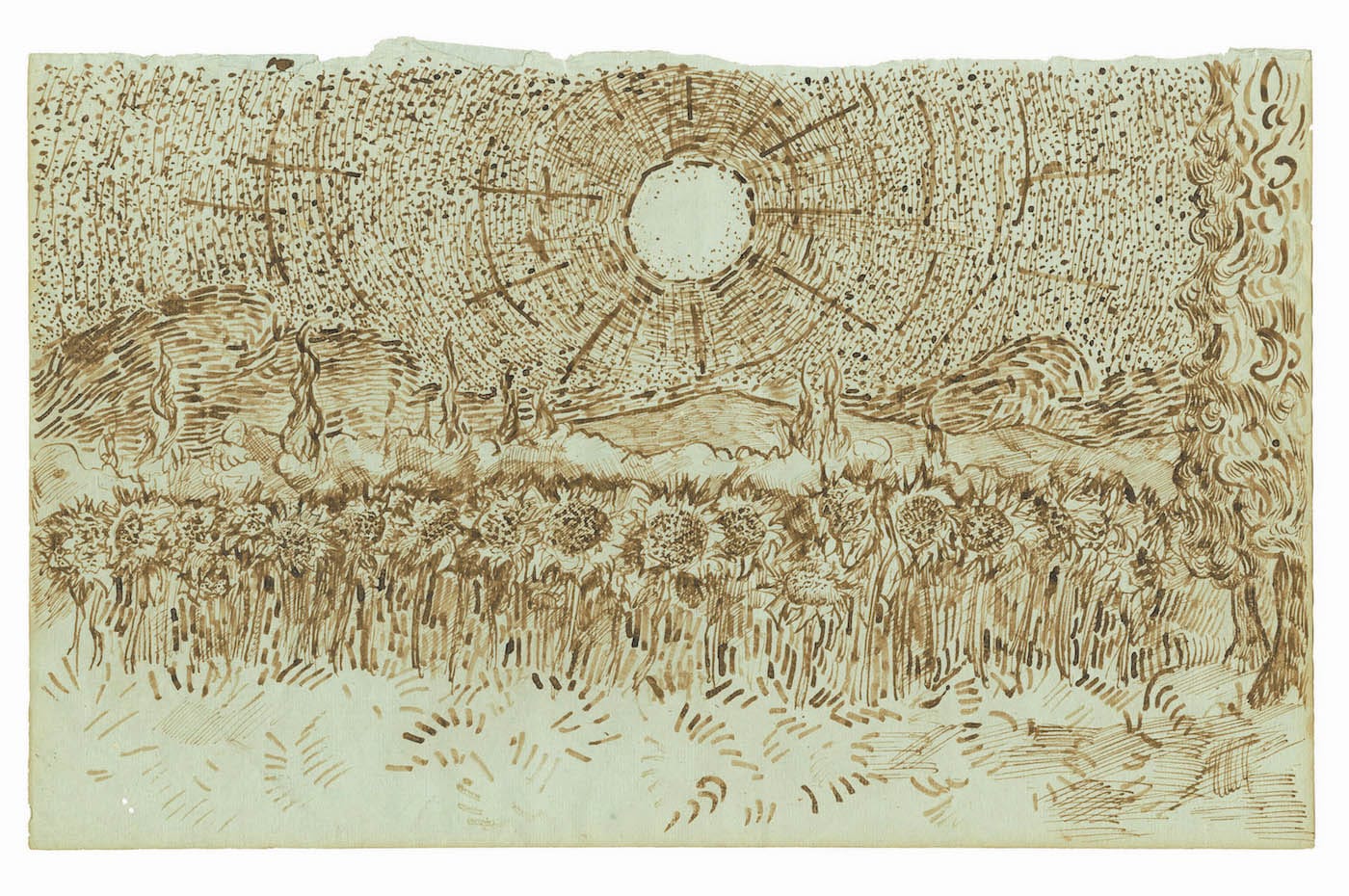 "Field of Sunflowers" (August–September 1889), one of 65 drawings attributed to Vincent van Gogh and published in the forthcoming title, Vincent van Gogh: The Lost Arles Sketchbook, 