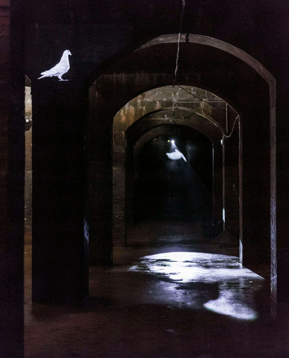 Eva Koch, “That Dream of Peace” (2016), installation view