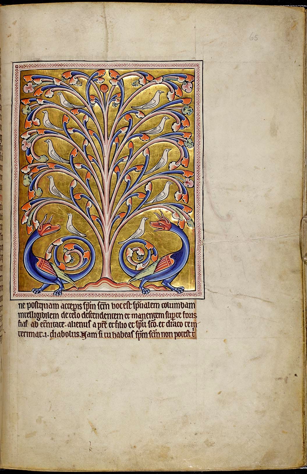 Folio 65r from the Aberdeen Bestiary showing an arrangement of doves in a tree