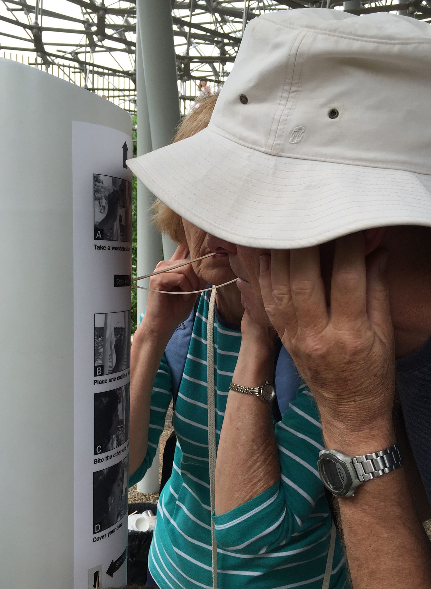 Listening to bee sounds