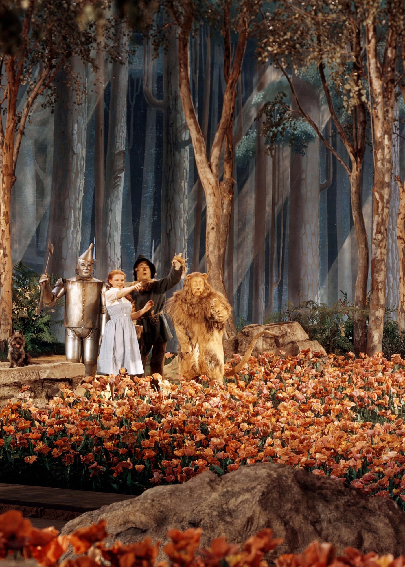 Scene from 'The Wizard of Oz' (1939) (courtesy the Kobal Collection/MGM, via Regan Arts)