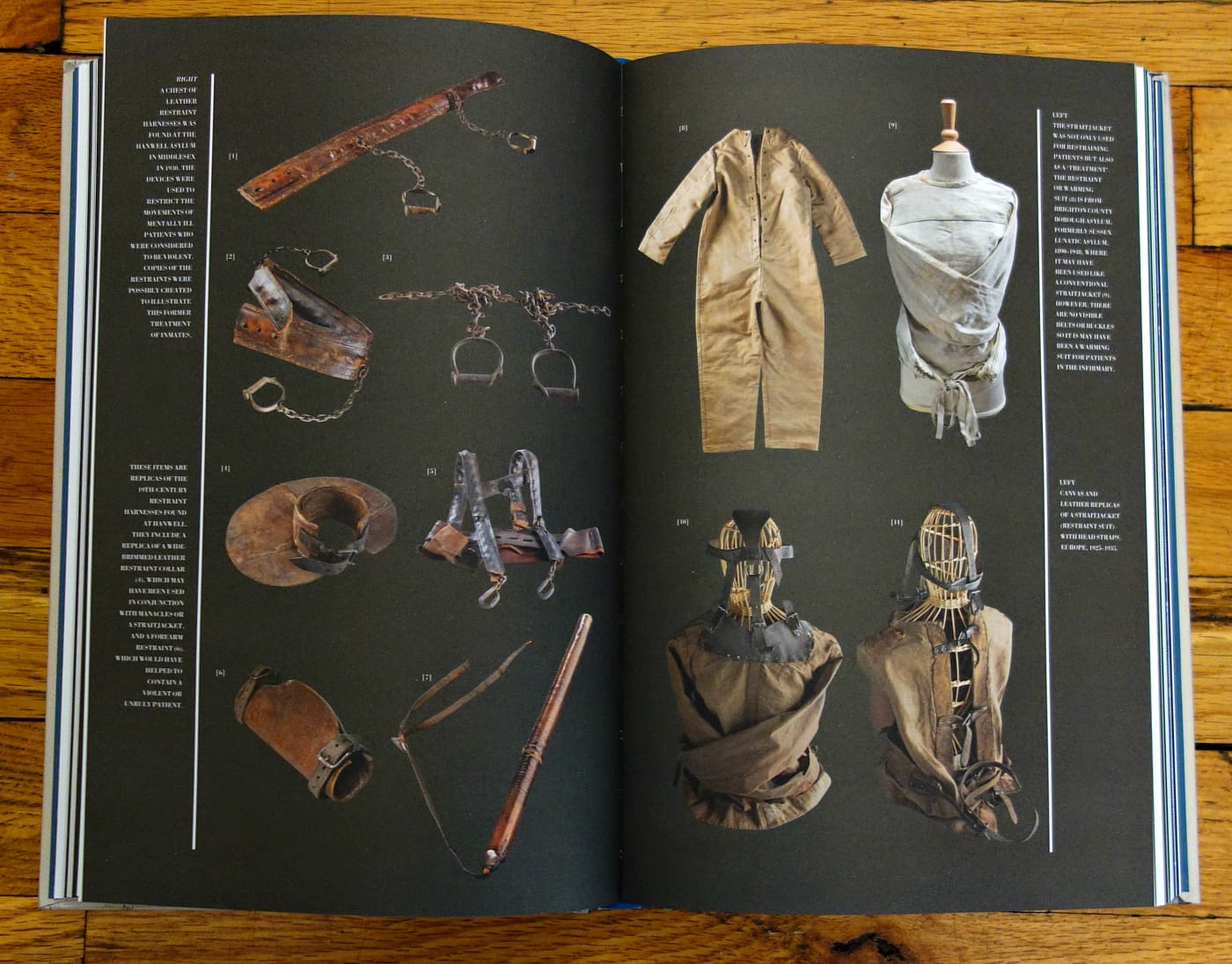 Pages from This Way Madness Lies (photo of the book for Hyperallergic)