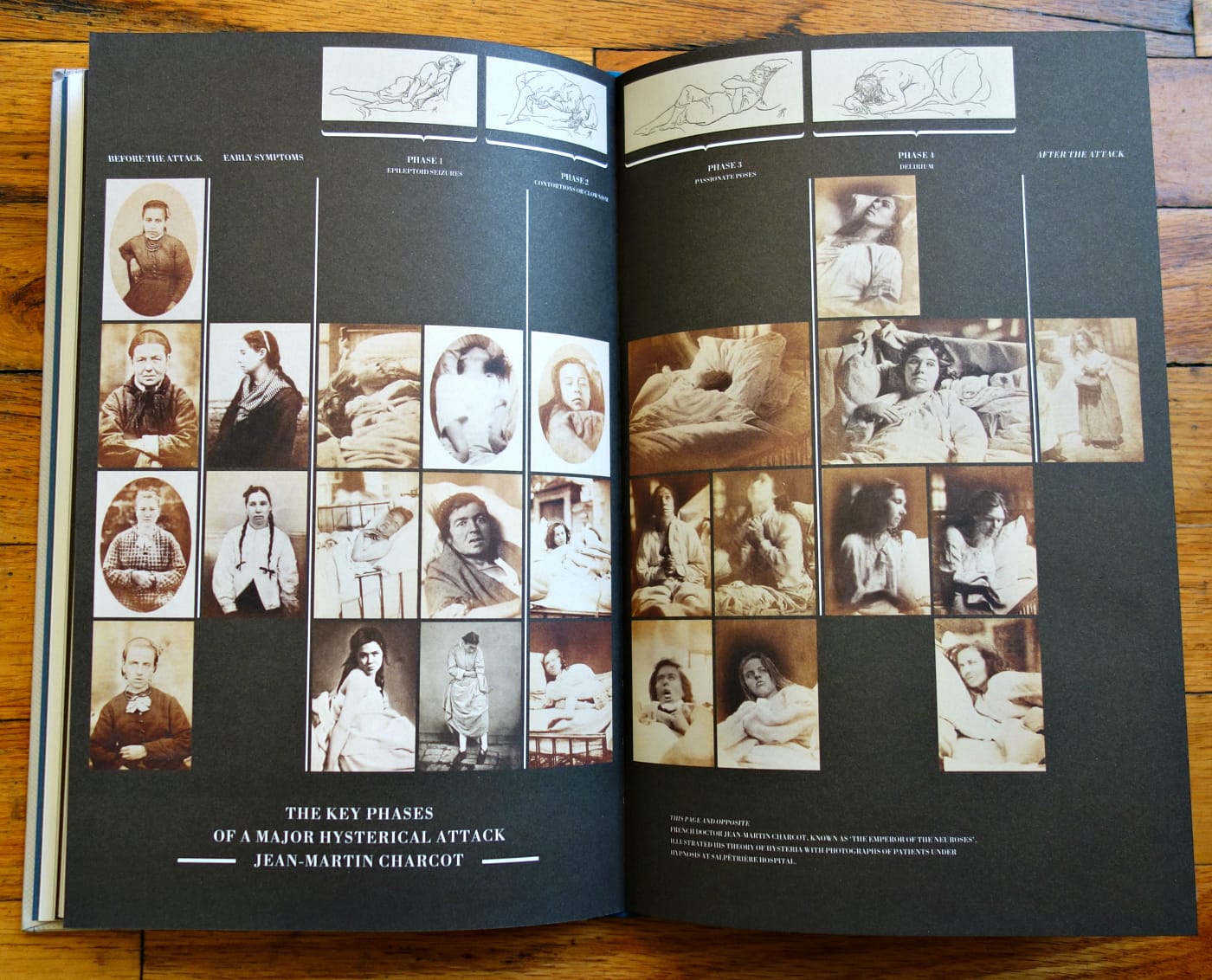 Pages from This Way Madness Lies (photo of the book for Hyperallergic)