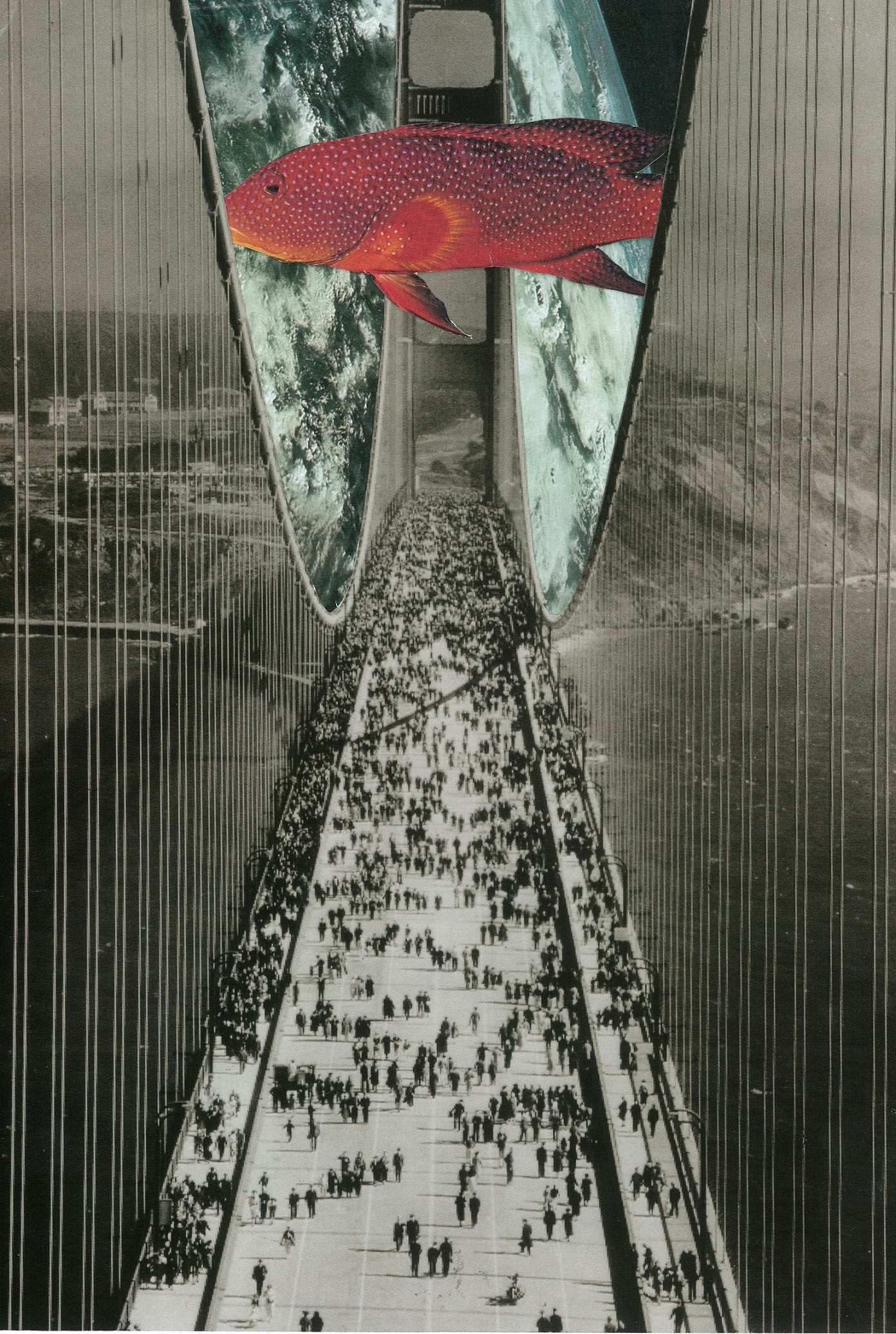 maybetherightsizequestionmark