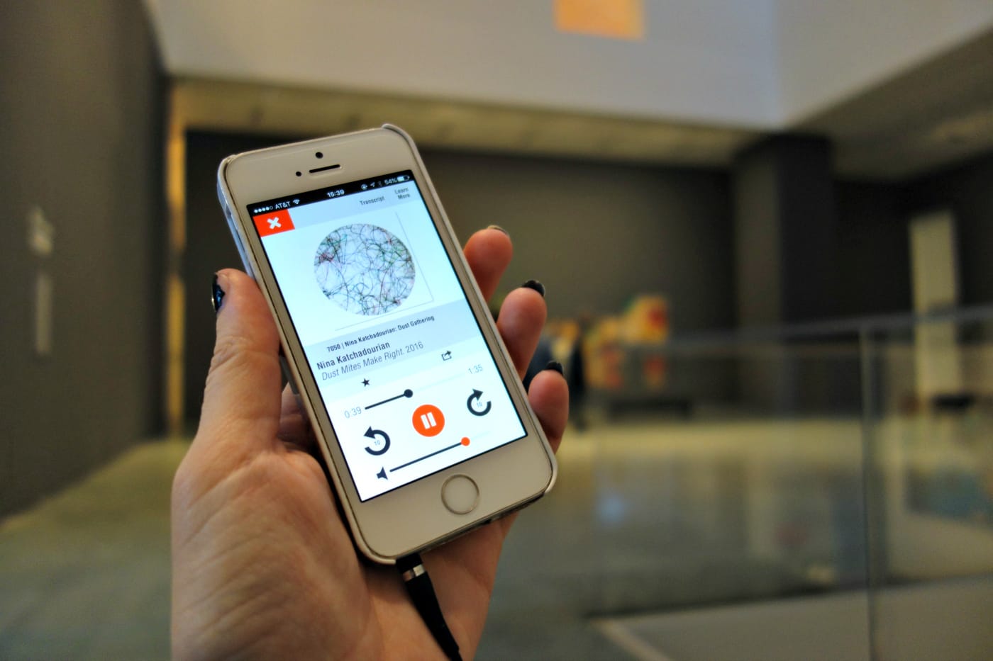 Dust Gathering (photo by the author for Hyperallergic)