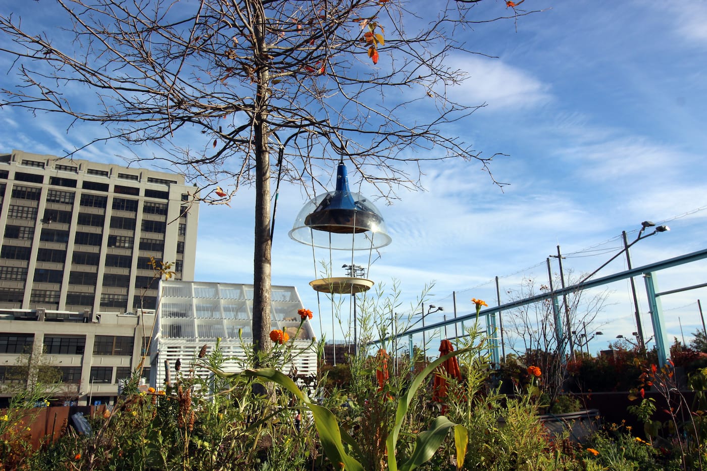 Pandora Bird at Swale, docked at Pier 6 in Brooklyn Bridge Park (all photos courtesy Elizabeth Demaray unless otherwise noted)