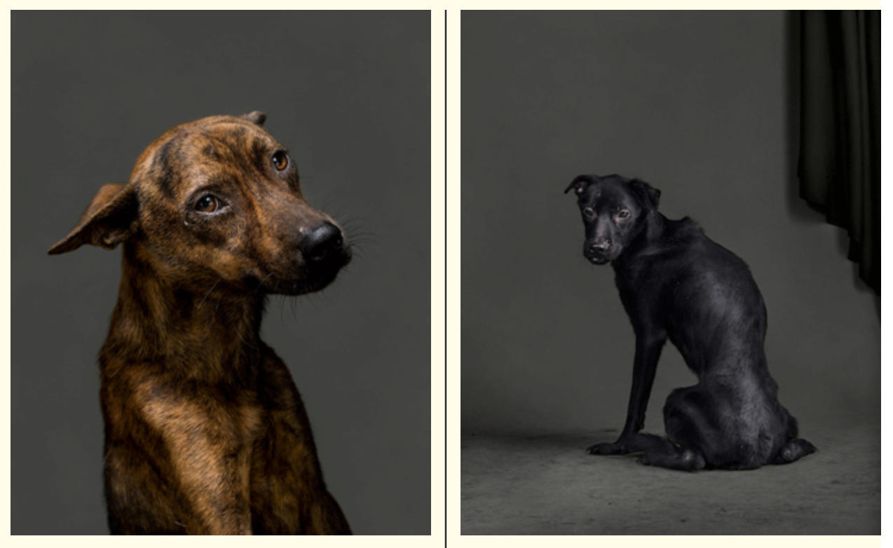 screen-shot-2016-11-06-at-10-20-30-am