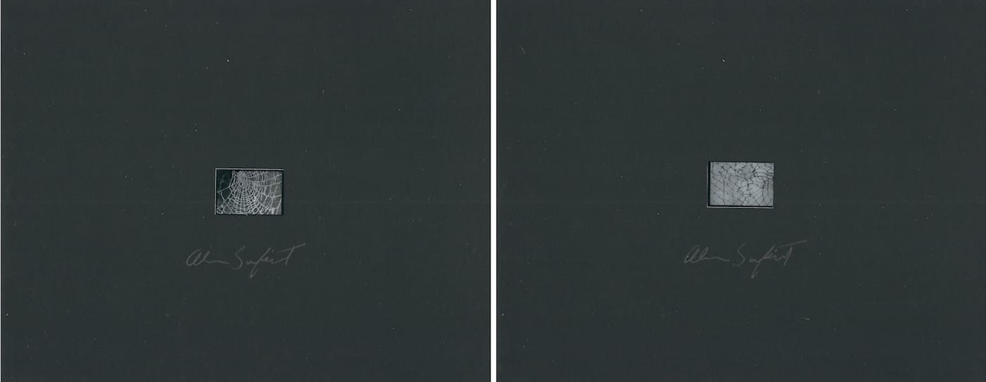 Alan Sonfist: 50 Years of Time Landscape