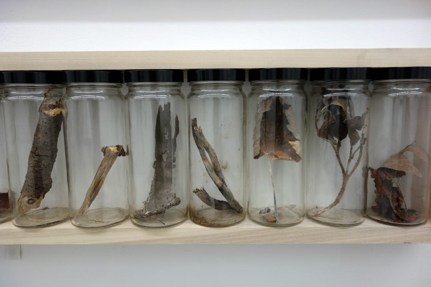 Installation view of 'Alan Sonfist: 50 Years of Time Landscape' at Alden Projects (photo by the author for Hyperallergic)