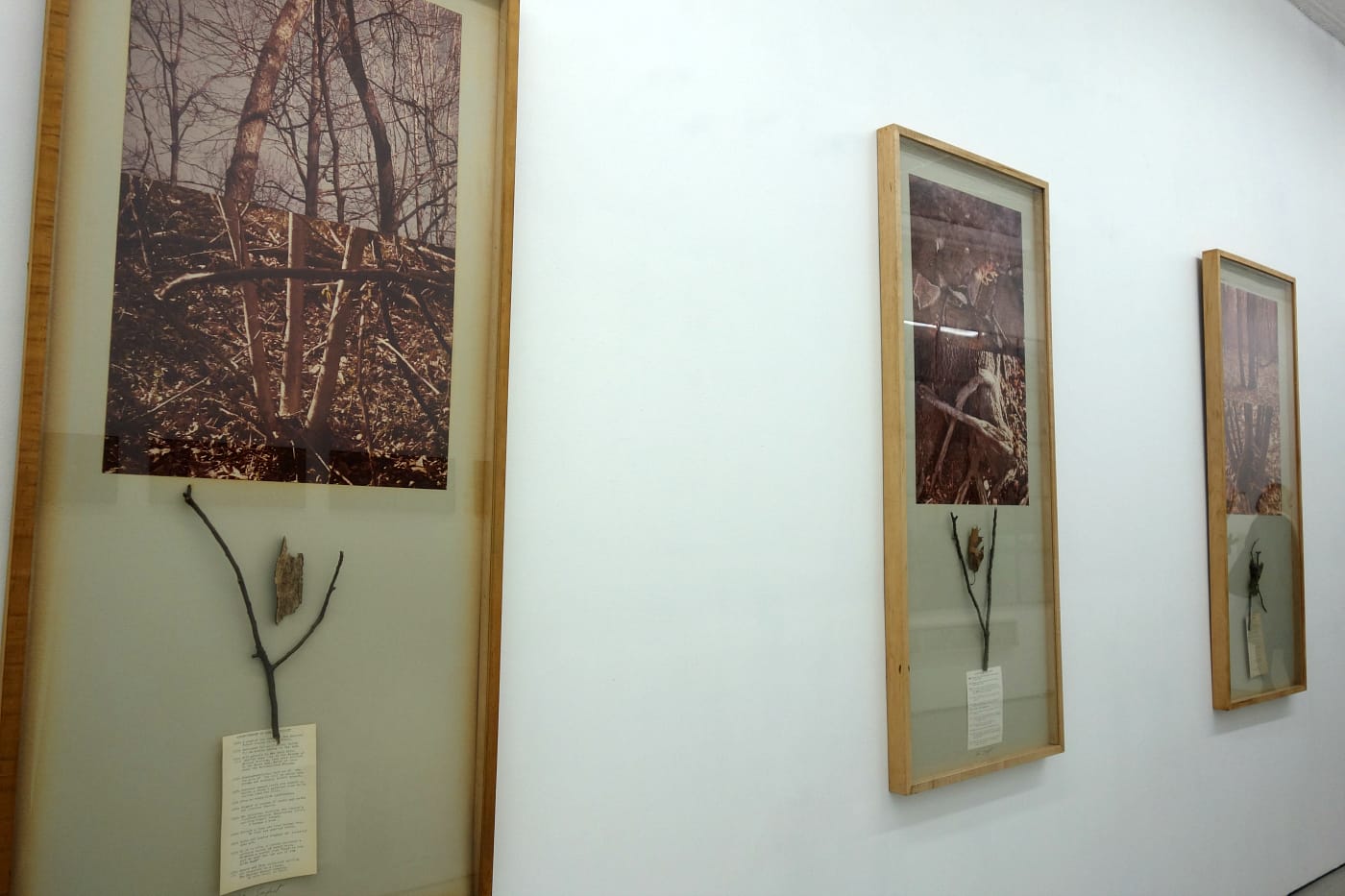 Installation view of 'Alan Sonfist: 50 Years of Time Landscape' at Alden Projects (photo by the author for Hyperallergic)