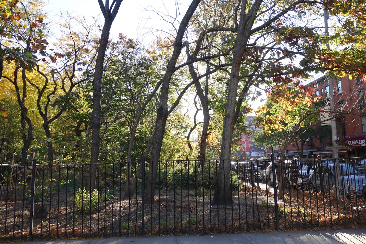 Alan Sonfist's "Time Landscape" at the corner of La Guardia Place and West Houston Street, NYC (photo by the author for Hyperallergic)