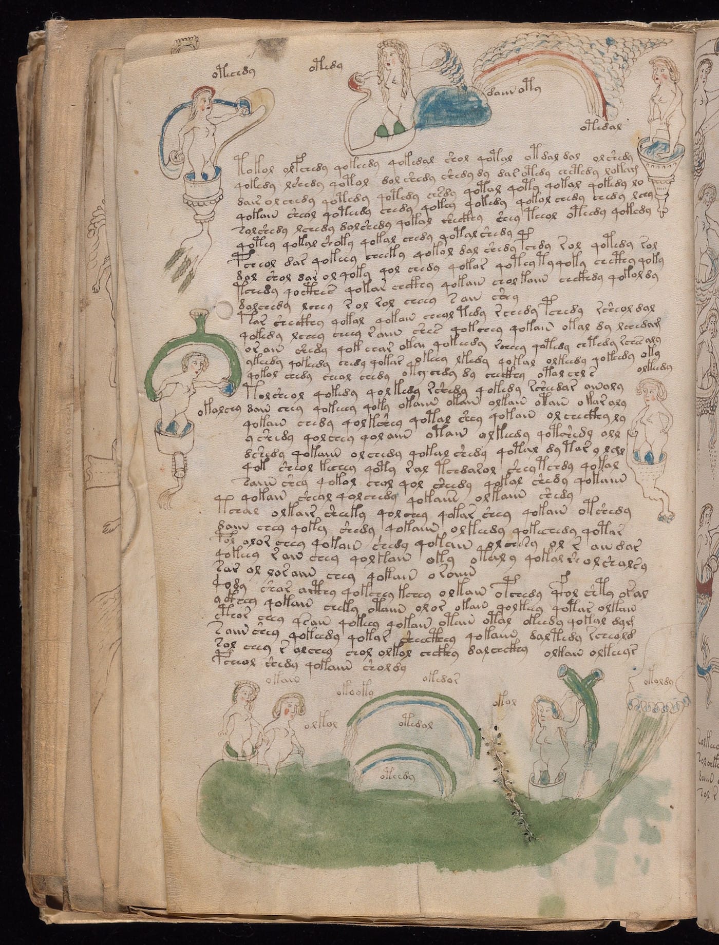 Page from the "Voynich Manuscript" (15th-16th century) (courtesy Beinecke Rare Book & Manuscript Library, Yale University)