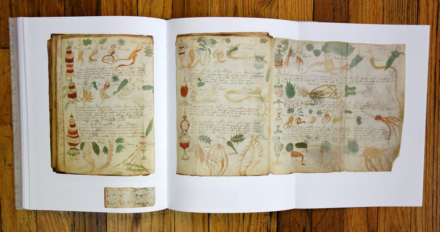 Pages from 'The Voynich Manuscript' (photo of the book for Hyperallergic)