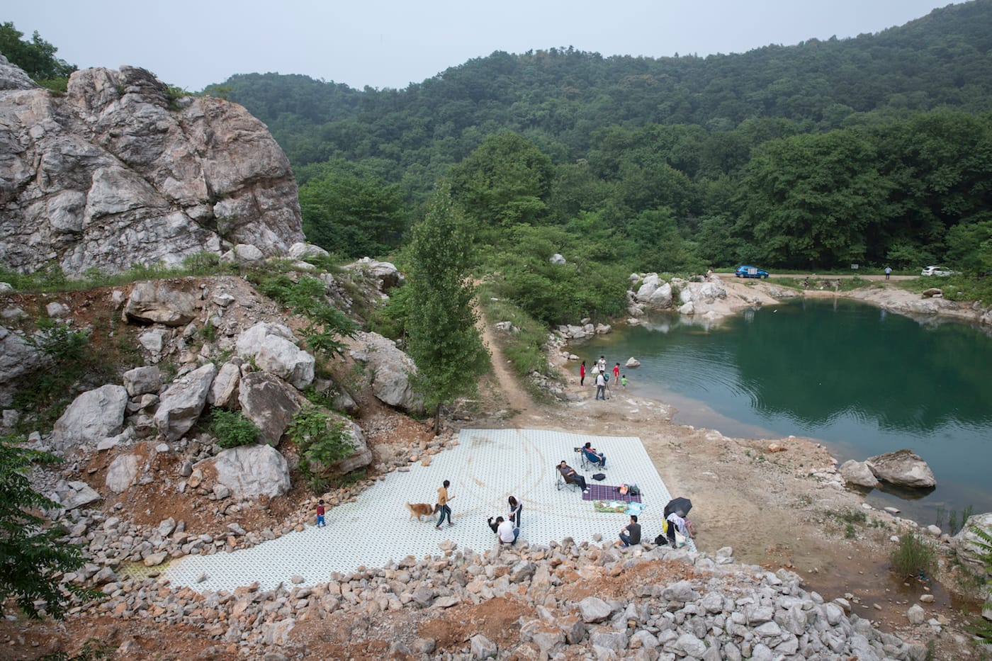 Wang Wei, "Natural History 4" (2016)