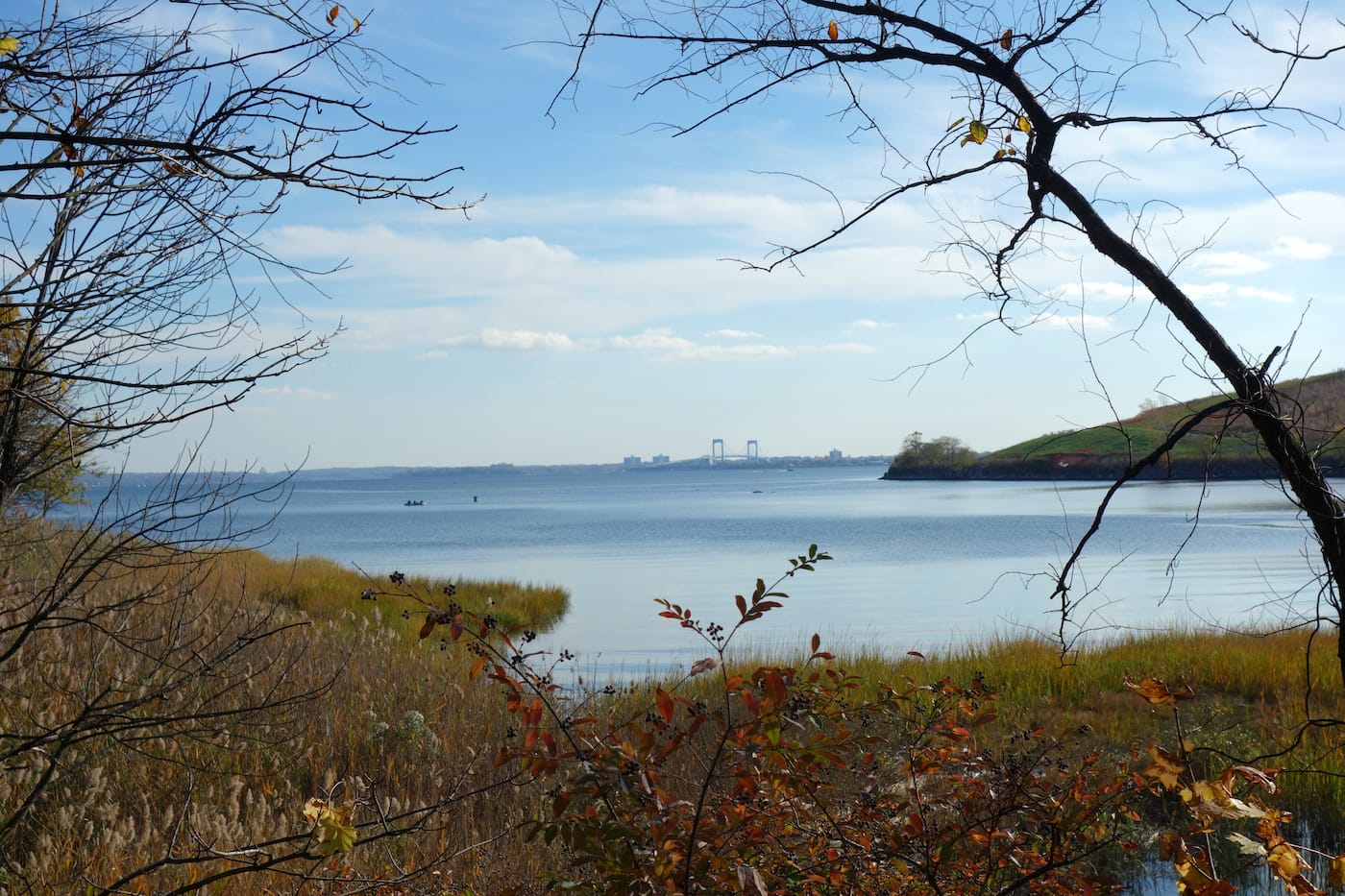 Matthew Jensen's Wonder Walk