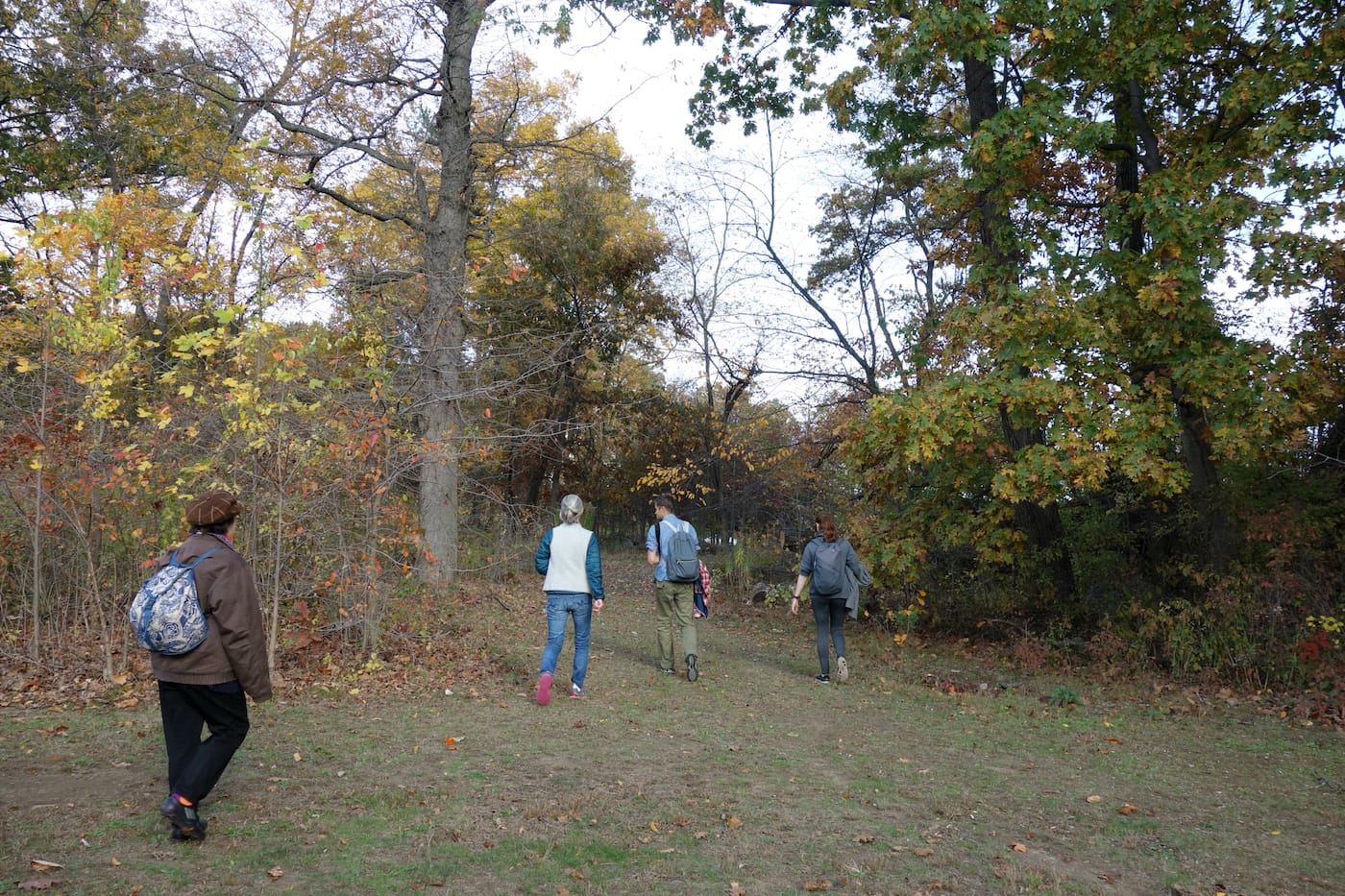 Matthew Jensen's Wonder Walk