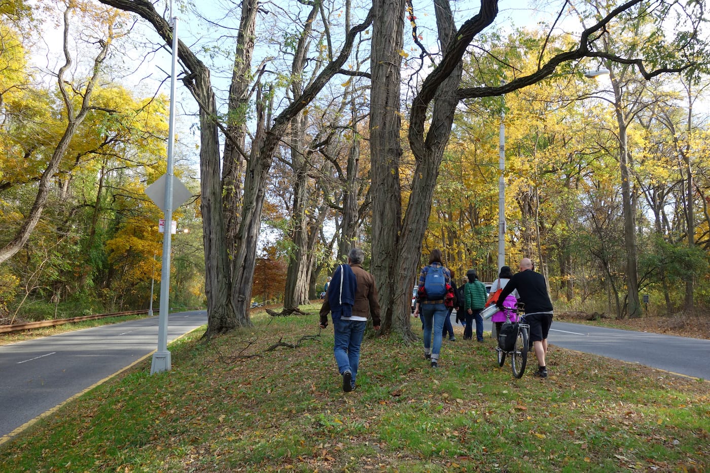 Matthew Jensen's Wonder Walk