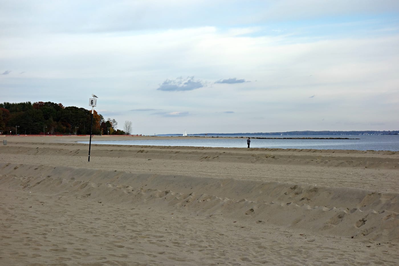 Matthew Jensen's Wonder Walk