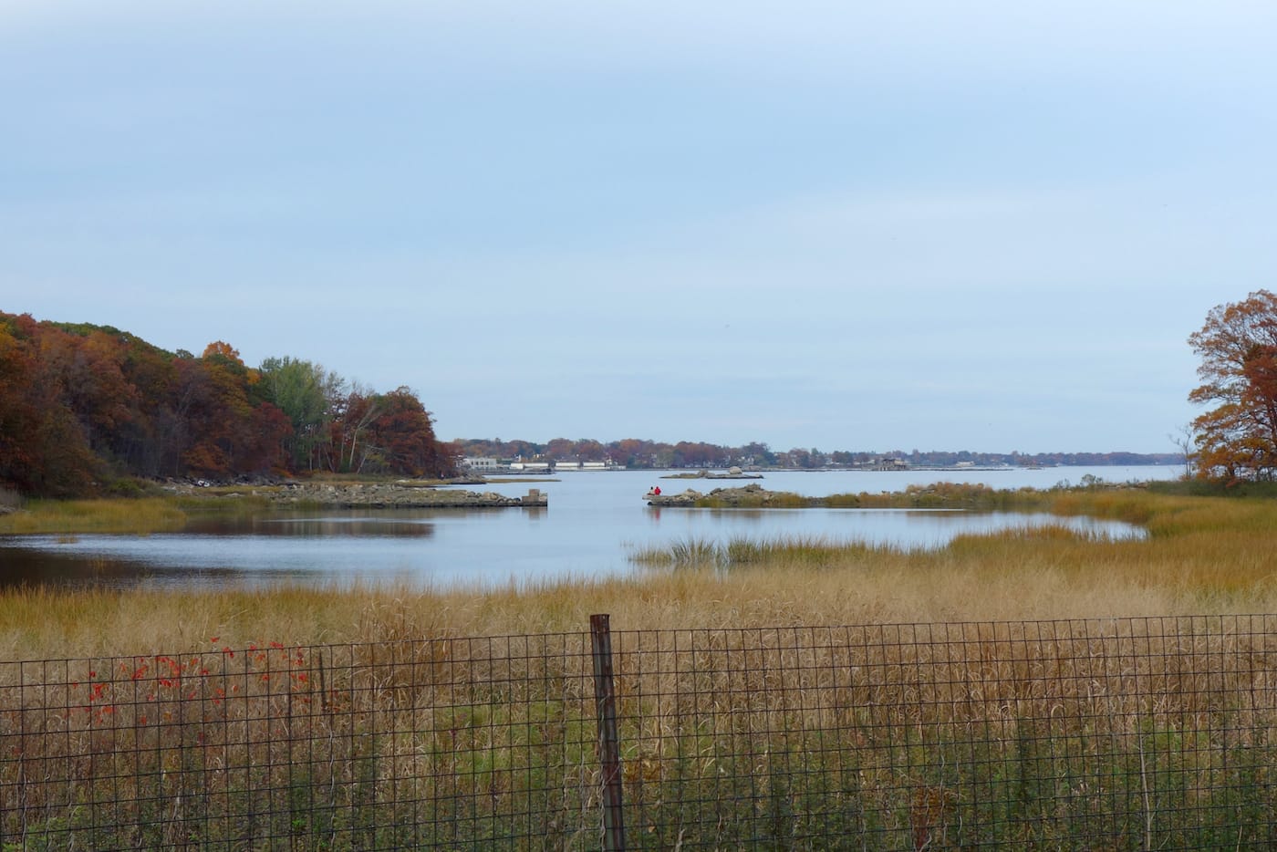 Matthew Jensen's Wonder Walk