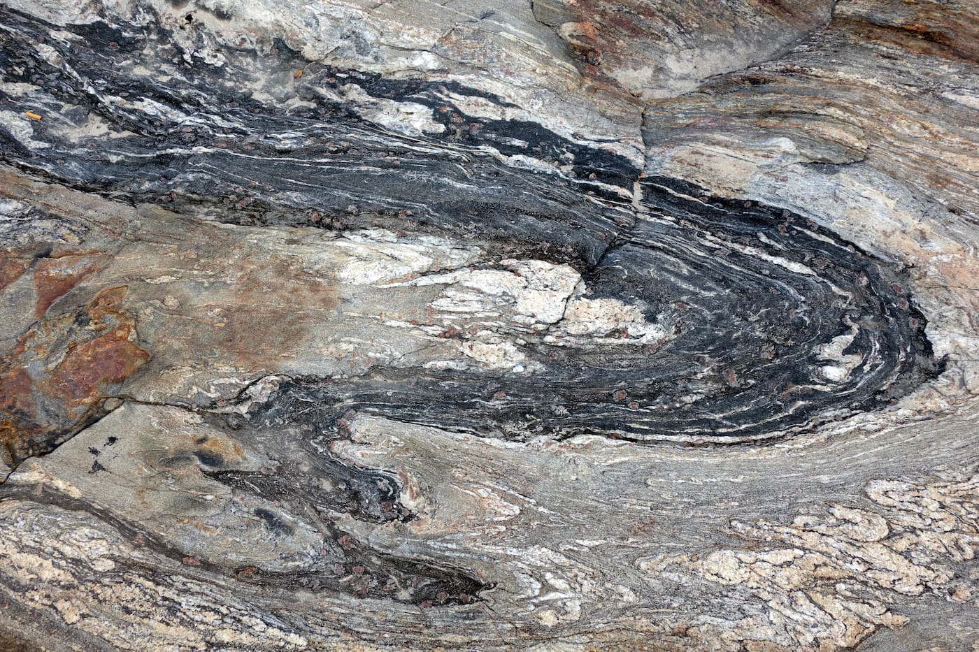 Matthew Jensen's Wonder Walk