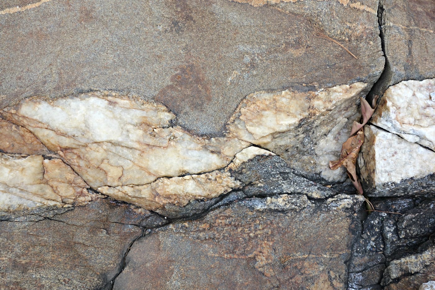 Matthew Jensen's Wonder Walk