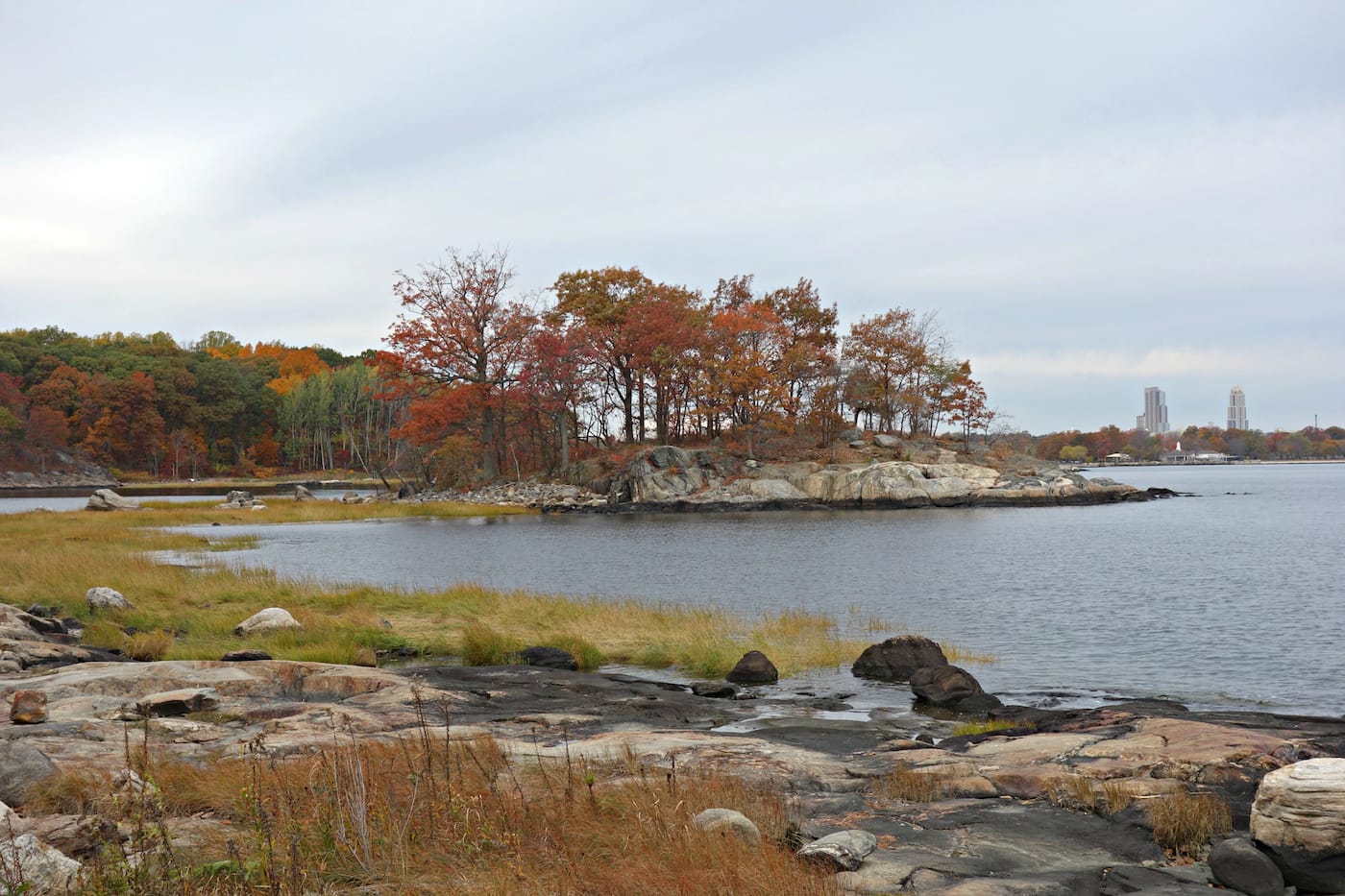 Matthew Jensen's Wonder Walk