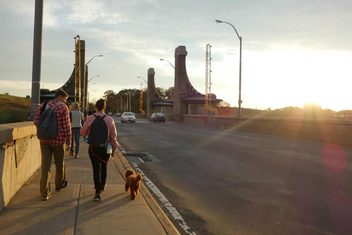 Matthew Jensen's Wonder Walk