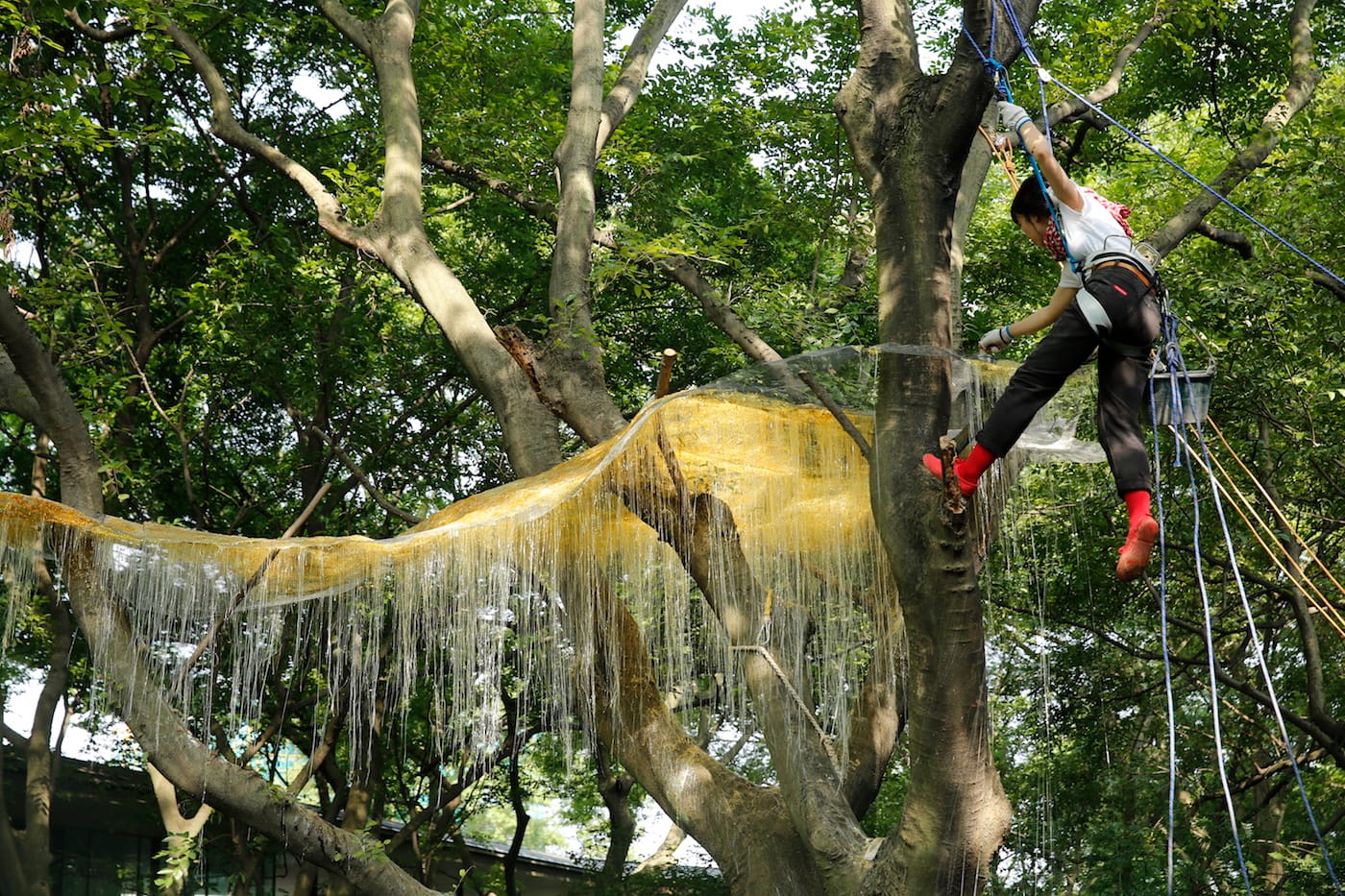 Yu Ji, "Etudes-Lento III" (2016)