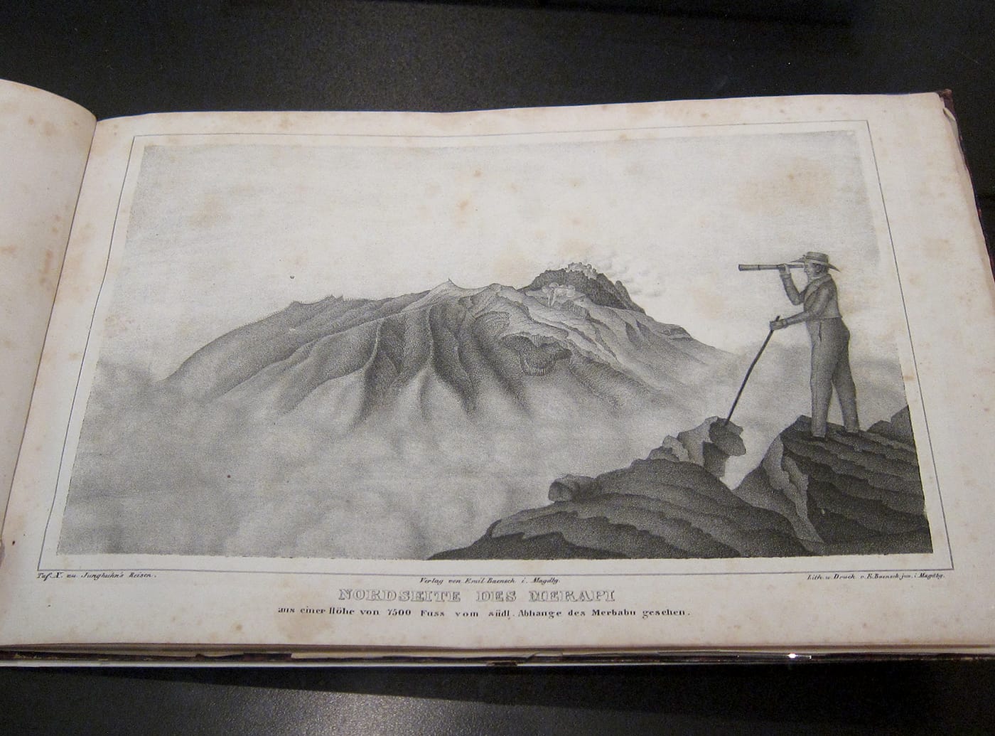 Franz Wilhelm Junghuhn, a page from "Topographische und naturwissenschaftlicher Atlas zur Reise durch Java [Topographic and Scientific Journeys in Java]" (1845)